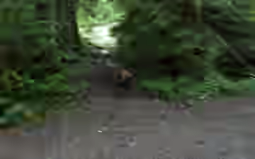 DSC_1284