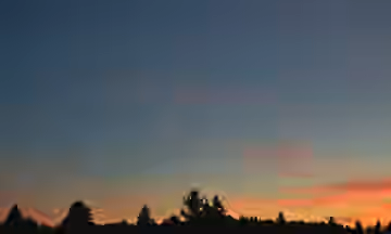DSC_4233
