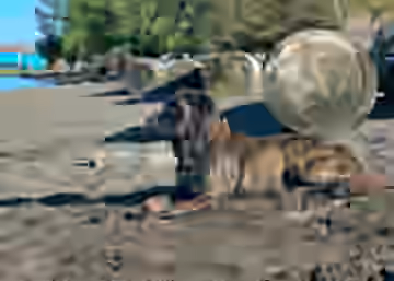 DSC_6261