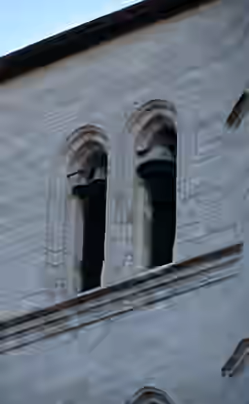 DSC_6499