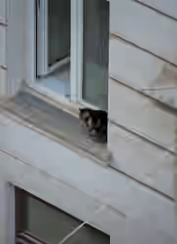 DSC_8034
