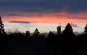 DSC_0154