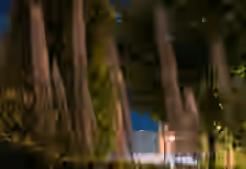 DSC_8405